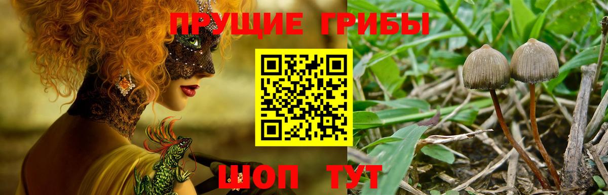 Галлюциногенные грибы прущие грибы Зерноград